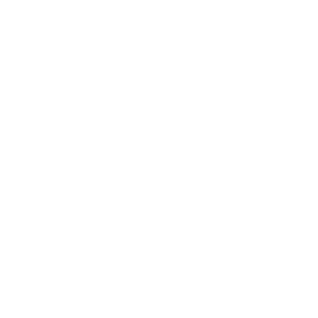 Pentik Tiktok